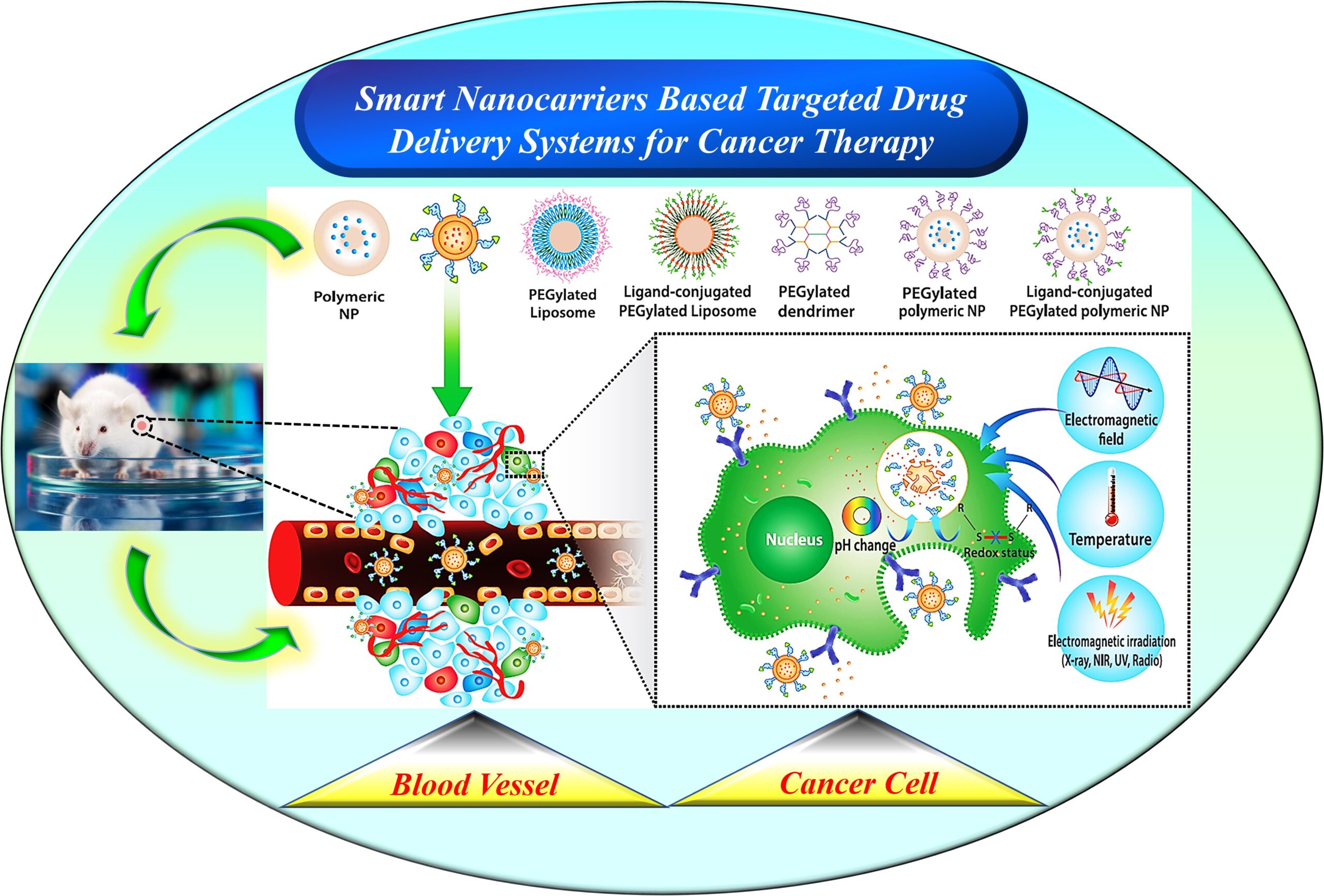 Biomaterials for Targeted Drug Delivery (TDD) towards Cancer Cells